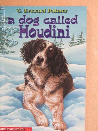 A dog called Houdini