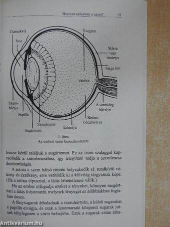 Tökéletes látás szemüveg nélkül