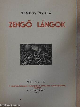 Zengő lángok