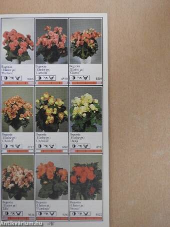 Potplanten/Pot Plants/Topfpflanzen/Plantes en pot/Piante da vaso/Planta en particular 1989/90