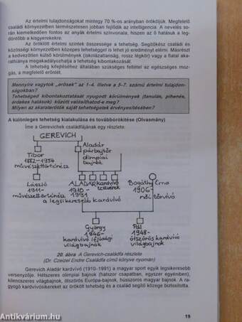 Gondolkodás és viselkedés 13 éveseknek