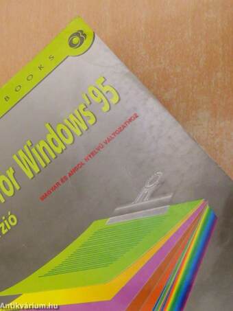 Word for Windows '95