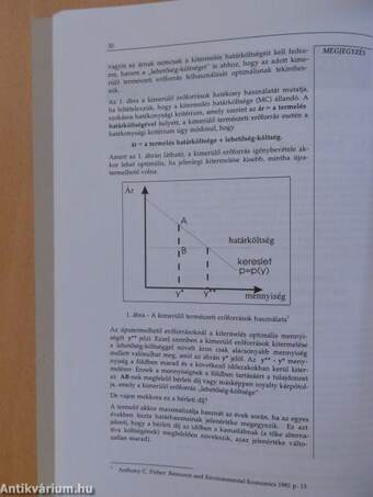 Környezetgazdaságtan I-II.