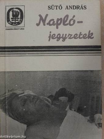 Naplójegyzetek 