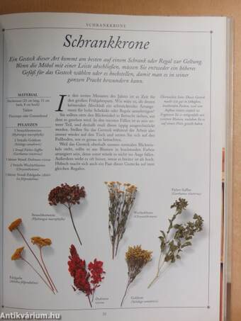 Freude Mit Trockenblumen