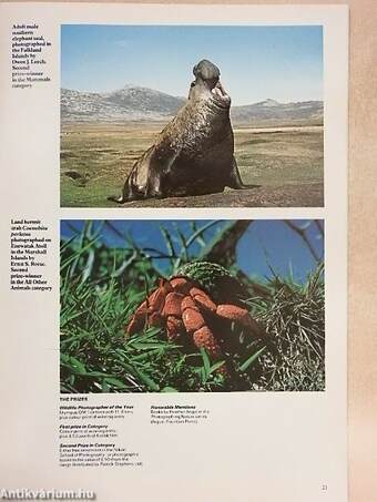 Wildlife January-December 1977. 