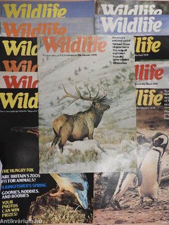 Wildlife January-December 1978. 