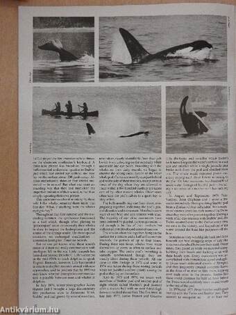 Wildlife January-December 1978. 