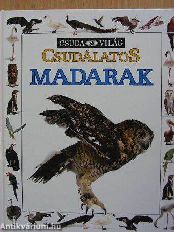 Csudálatos madarak