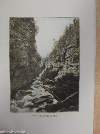 Ausable Chasm