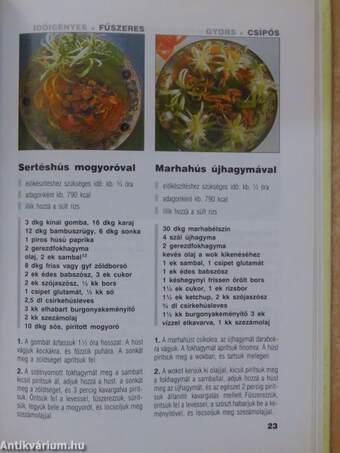 A varázslatos Wok