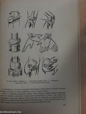 Az emberi test felépítése