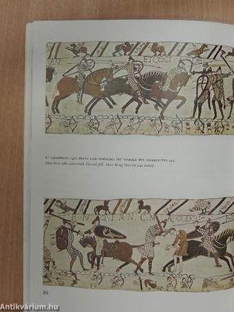 The Bayeux Tapestry and the Battle of Hastings 1066