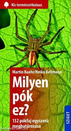 Milyen pók ez? 132 pók egyszerű meghatározása