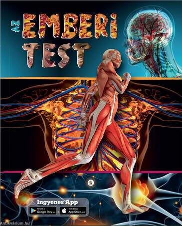 Az emberi test