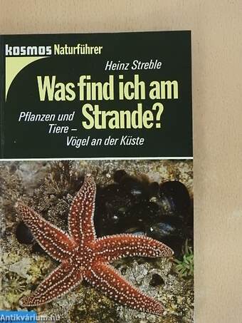 Was find ich am Strande?