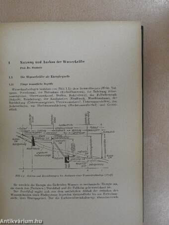 Handbuch der Energiewirtschaft II.