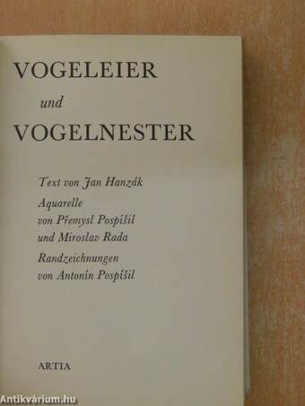 Vogeleier und vogelnester