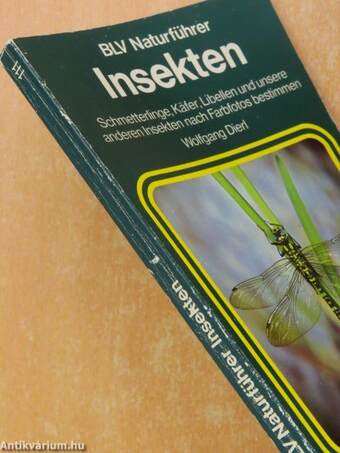 Insekten