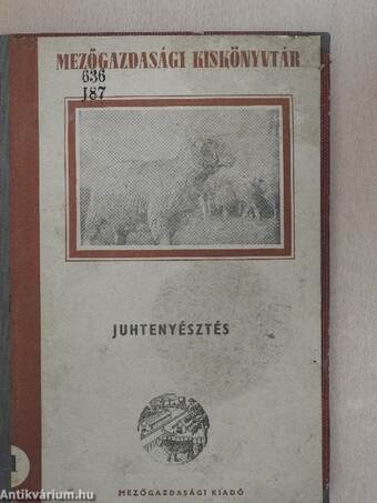 Juhtenyésztés