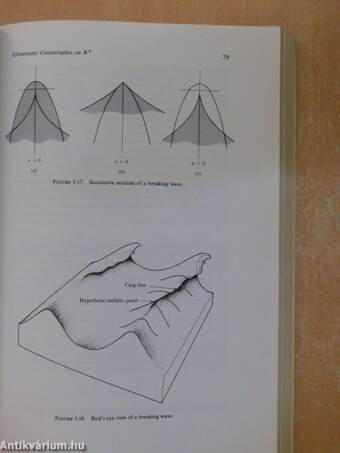 Structural Stability and Morphogenesis