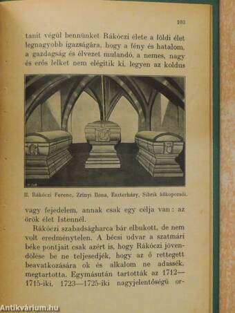 Rákóczi lobogója alatt/Munkácstól Rodostóig