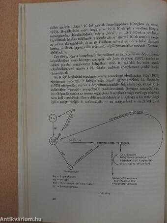 Az orvostudomány aktuális problémái 29