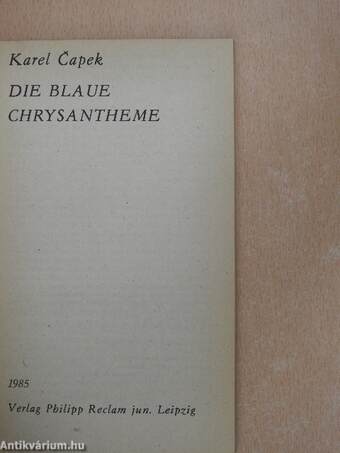 Die blaue Chrysantheme