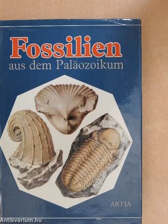 Fossilien aus dem Paläozoikum