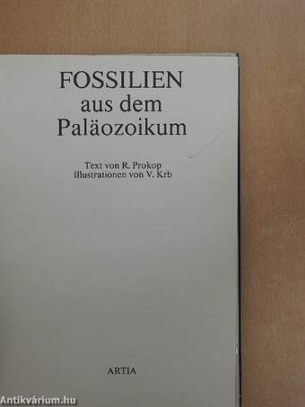 Fossilien aus dem Paläozoikum