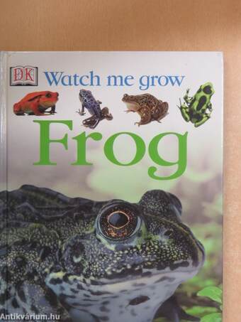 Watch me grow Frog