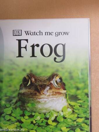 Watch me grow Frog