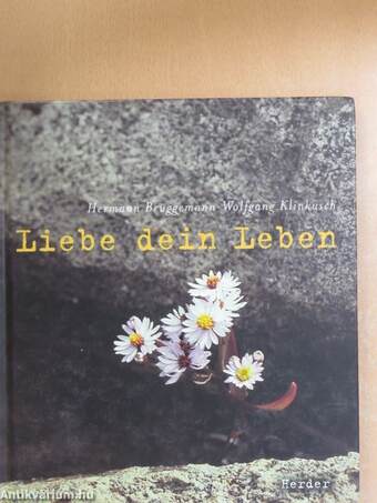 Liebe dein Leben