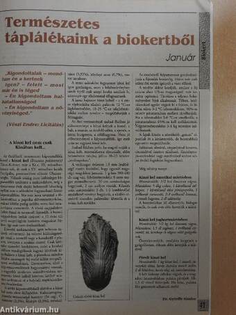 Új Elixír Magazin 1995. (nem teljes évfolyam)