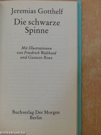 Die schwarze Spinne