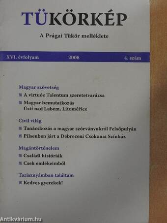 Tükörkép 2008/4.