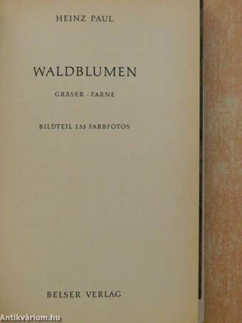 Waldblumen