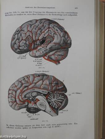 Lehrbuch der inneren Medizin II.