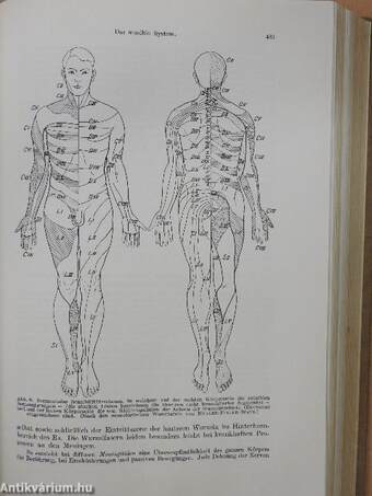 Lehrbuch der inneren Medizin II.