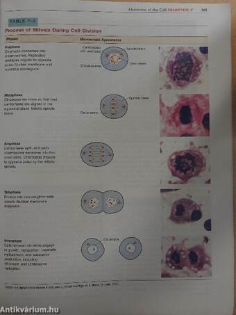 Dental Embryology, Histology and Anatomy