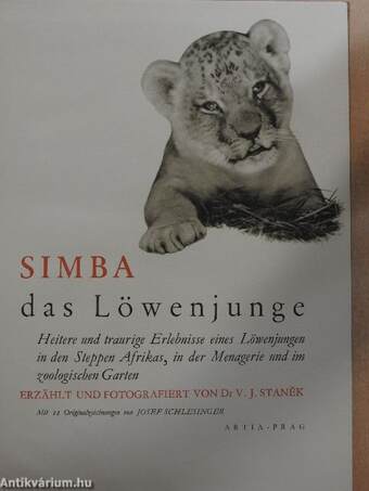 Simba das Löwenjunge