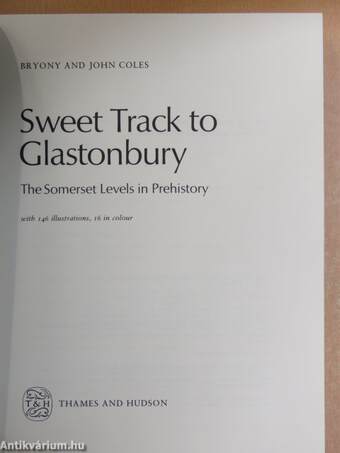 Sweet Track to Glastonbury