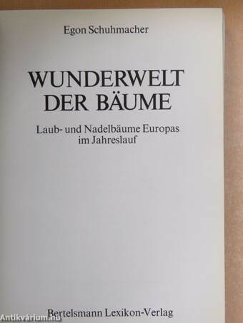 Wunderwelt der Bäume