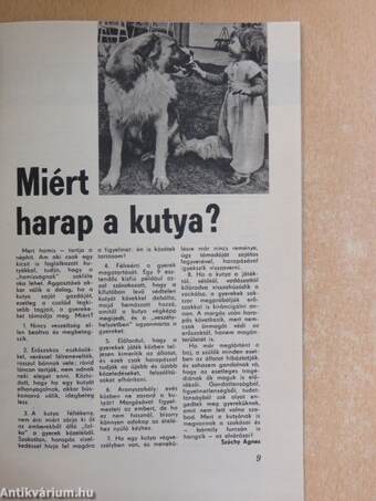 A Kutya 1980. (nem teljes évfolyam)