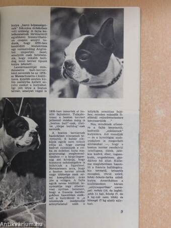 A Kutya 1978. (nem teljes évfolyam)