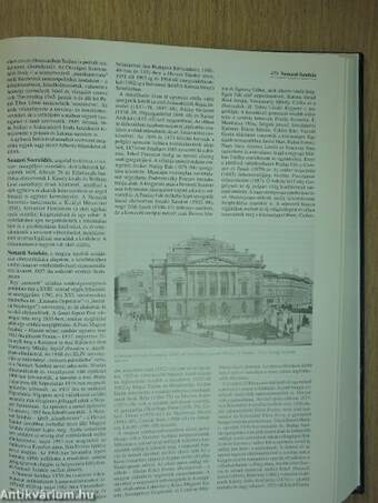 Britannica Hungarica Világenciklopédia 13.