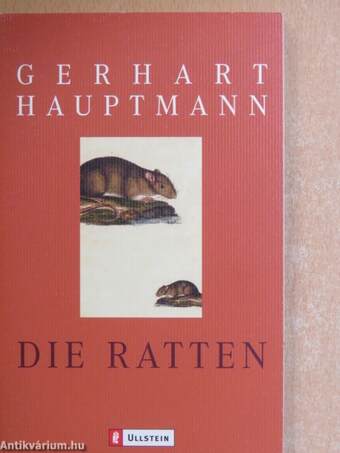 Die Ratten