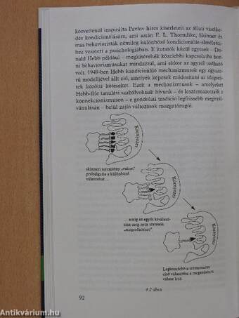 Micsoda elmék