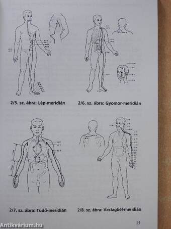 Gondolattól a szülésig (dedikált példány)