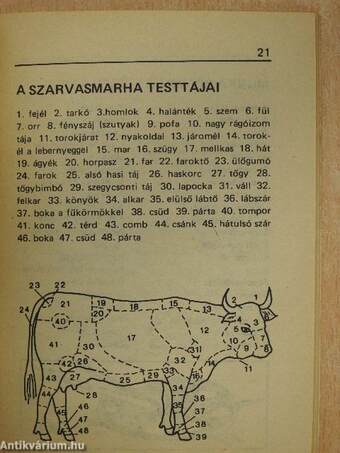 Rejtvényfejtő mini szó-tár 16.